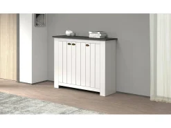 Sapateira Dcigarin, Sapateira com 3 portas com economia de espaço, Armário de entrada multifuncional, 114x42h100 cm, Branco e Ardósia