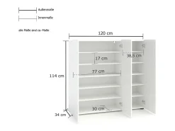 Sapateira Ddickman, Sapateira, Armário de entrada multiuso, Armário de calçado, Made in Italy, 120x34h115 cm, Branco brilhante
