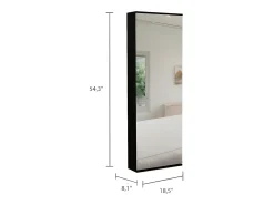 Sapateira de parede Leto com espelho, estilo moderno e espaço, 137.92 cm X 46.99 cm X 20.57 cm , preto