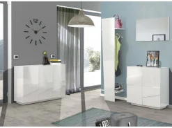 Sapateira Dfogl, Armário multiuso com 2 portas, Sapateira de entrada, 100% Fabricado na Itália, 81x38h86 cm, Branco brilhante com detalhe