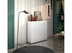 Sapateira Dgarritan, porta-sapatilhas móvelE, Armário de entrada multiusos, Armário para calçado, Made in Italy, 116x35h115 cm, Branco brilhante e carvalho
