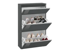 Sapateira Dlogarz, Armário multiuso com 2 portas e 1 porta basculante, Sapateira de entrada, 100% Fabricado na Itália, 60x27h108 cm, Antracite brilhante