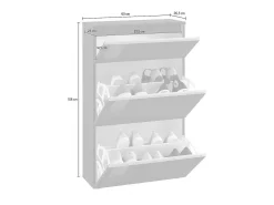 Sapateira Dlogarz, Armário multiuso com 2 portas e 1 porta basculante, Sapateira de entrada, 100% Fabricado na Itália, 60x27h108 cm, Antracite brilhante