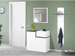 Sapateira Dmaric, armário multiuso com 2 portas e 1 porta basculante, sapateira de entrada, 100% Fabricado na Itália, 80x40h80 cm, branco brilhante e ardósia