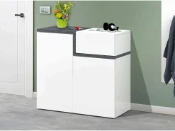 Sapateira Dmaric, armário multiuso com 2 portas e 1 porta basculante, sapateira de entrada, 100% Fabricado na Itália, 80x40h80 cm, branco brilhante e ardósia