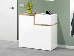 Sapateira Dmaric, armário multiuso com 2 portas e 1 porta basculante, sapateira de entrada, 100% Fabricado na Itália, 80x40h80 cm, branco brilhante e bordo