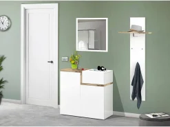 Sapateira Dmaric, armário multiuso com 2 portas e 1 porta basculante, sapateira de entrada, 100% Fabricado na Itália, 80x40h80 cm, branco brilhante e bordo