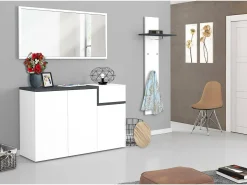 Sapateira Dmessia, armário multiuso com 3 portas e 1 porta sanfonada, sapateira de entrada, 100% Fabricado na Itália, 120x40h80 cm, branco brilhante e ardósia