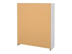 Sapateira Dtorris, Sapateira, Armário de entrada multiusos, Sapateira, 70x24 h85 cm, Branco