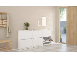 Sapateira Dtorris, Sapateira, Armário de entrada multiusos, Sapateira, 70x24 h85 cm, Branco