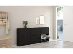 Sapateira Dtorris, Sapateira, Armário de entrada multiusos, Sapateira, 70x24 h85 cm, Preto