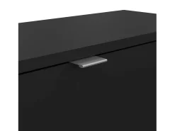 Sapateira Dtorris, Sapateira, Armário de entrada multiusos, Sapateira, 70x24 h85 cm, Preto