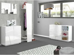 Sapateira Joel, Armário multiuso com 2 portas, Sapateira de entrada, 100% Fabricado na Itália, 81x38h86 cm, Branco brilhante com detalhe