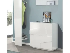Sapateira Joel, Armário multiuso com 2 portas, Sapateira de entrada, 100% Fabricado na Itália, 81x38h86 cm, Branco brilhante com detalhe
