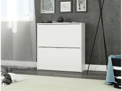 Sapateira Louisville, Sapateira com 2 portas dobráveis, Sapateira de entrada baixa, Armário baixo, 75x22h76 cm, Branco