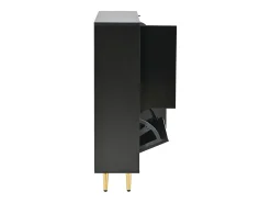 Sapateira moderna com frentes brilhantes, portas de prateleiras ajustáveis, LEDs coloridos, preta