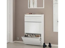 Sapateira Paco, Armário multiuso com 2 portas e 1 porta sanfonada, Sapateira de entrada, 100% Fabricado na Itália, 60x27h108 cm, Branco brilhante