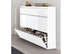 Sapateira Piero, Armário multiuso com 2 portas e 1 porta basculante, Sapateira de entrada, 100% Fabricado na Itália, 120x27h108 cm, Branco brilhante