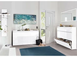 Sapateira Piero, Armário multiuso com 2 portas e 1 porta basculante, Sapateira de entrada, 100% Fabricado na Itália, 120x27h108 cm, Branco brilhante