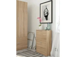 Sapateira Valdosta, Sapateira economizadora de espaço com 2 portas, Sapateira de entrada, Armário sapateira, 50x22h76 cm, Carvalho