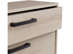 Sapateira Watson com 2 portas dobráveis ​​em preto Waterford e carvalho Kronberge, 79,6 x 102,4 x 29,4 cm