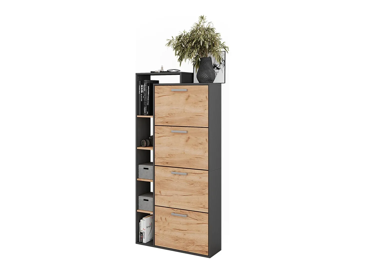 Schuhkipper carvalho goldkraft/antracite 80x24.2x166.1 orlando