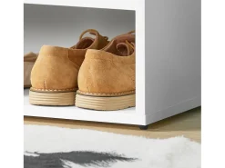SoBuy Armário de sapatos com prateleira, banco, Banco com sapateira FSR25-W
