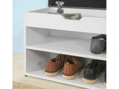 SoBuy Armário de sapatos com prateleira, banco, Banco com sapateira FSR25-HG