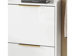 SoBuy Sapateira 4 Portas Branca com Design Nórdico e Puxadores Dourados