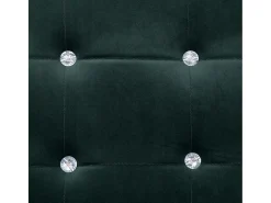 Sofá de 2 lugares para sala de estar decoração de interiores com braços verde escuro cromado e veludo 02_0020689