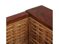Sofá de 2 lugares para sala de estar sala de TV ou decoração de interiores com almofadas em rattan natural marrom 02_0019492