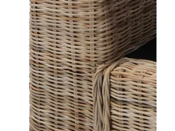 Sofá de 2 lugares para sala de estar sala de TV ou decoração de interiores com almofadas de rattan natural 02_0020837