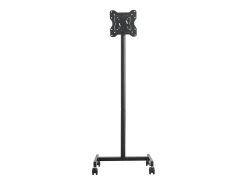 Suporte para TV com Rodas SucceBuy Carrinho Móvel para TV e Suporte para TV com Pé Portátil, Para Televisores/LED/LCD/OLED de 431,8 a 1397 mm, Até 20 kg