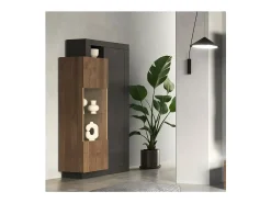 Vitrina design 2 portas coleção DOMI. Cor cinza antracite carvalho escuro