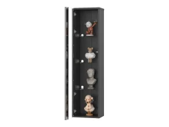 Vitrine 40×29×170 cm - iluminação LED multicolor com controle remoto - divisórias de vidro - preto