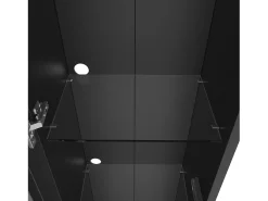 Vitrine 40×29×170 cm - iluminação LED multicolor com controle remoto - divisórias de vidro - preto