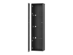 Vitrine 40×29×170 cm - iluminação LED multicolor com controle remoto - divisórias de vidro - preto