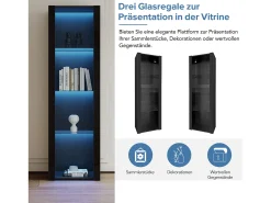Vitrine brilhante com LEDs - 55 x 38 x 166 cm - 3 prateleiras de vidro - armários altos de armazenamento - aglomerado - preto