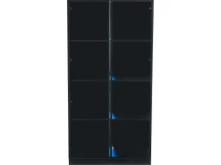 Vitrine com iluminação LED e 2 portas de vidro - Prateleiras ajustáveis ​​​​- Preta