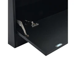 Vitrine LED moderna 80x120x35 cm - com iluminação LED 16 cores - com 2 portas de vidro - com compartimentos de armazenamento - Preto