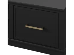 Westerleigh | Móvel para TV com 2 portas em MDF Preto