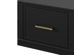 Westerleigh | Móvel para TV com 2 portas em MDF Preto
